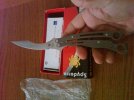 IMG00418-20110818-1008.jpg