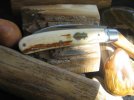 TA Davison #779 Sway Back 001.jpg