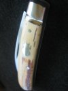 TA Davison #779 Sway Back 024.jpg