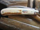 TA Davison #779 Sway Back 037.jpg