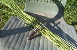 Grass2.jpg