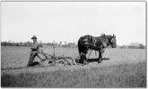 horse drawn.jpg