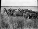 Wheat_Harvest_19001.jpg