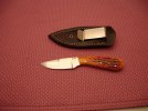 DSC00509.jpg