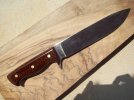 Snakewood 2.jpg