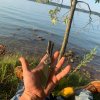 836ED8D0-59D9-4B00-BF9D-37C367405444.jpeg