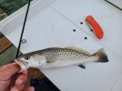 20200816_090724_copy_2016x1512.jpg