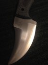 IMG_7741.JPG