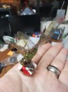 20200818_001736.jpg