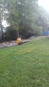 IMG_20200820_073628.jpg