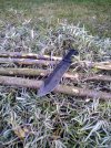 IMG_20200825_200200-min.jpg