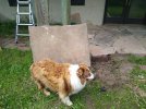 sam supervising the stonework.jpg