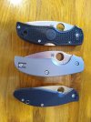 Spydercos closed.jpg