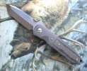 CQC5W.jpg