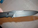Busse 019.jpg