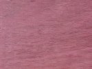 Purple!.jpg