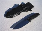 Nimravus Cub Left.jpg