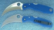 spyderhawks2.JPG