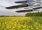 pbf11_swarm.jpe