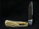 Menefee Ivory BackPocket 003.jpg Menefee Ivory BackPocket 003.jpg