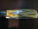 Menefee Ivory BackPocket 018.jpg Menefee Ivory BackPocket 018.jpg