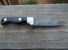 black knife 026.jpg black knife 026.jpg