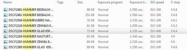 WINDOWS PHOTO VIEWER HUMMER PICS PROPERTIES.JPG