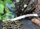 Micarta501Tree.JPG