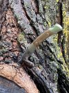Micarta501Tree2.JPG