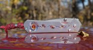 Grapevine_OnCarHood-1.jpg