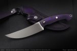 AI-Purple-Shakh-01.jpg