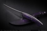 AI-Purple-Shakh-02.jpg