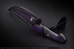 AI-Purple-Shakh-05.jpg