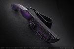 AI-Purple-Shakh-06.jpg