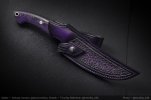 AI-Purple-Shakh-07.jpg