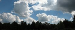 merged4243.jpg