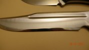 DSC00852.JPG