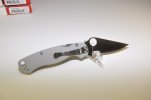 Para2 Gray-2.jpg
