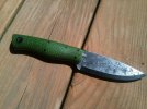 fiddlebackbushfinger2.jpg fiddlebackbushfinger2.jpg