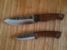 fiddleback pair.jpg