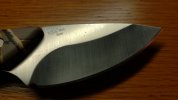 20200917_150304.jpg