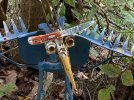 tribalbird1.JPG