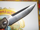 Begg Bodega and ZT 0452 022.JPG