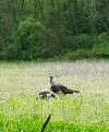 20200925_233140.jpg