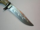 W2 & Ash burl 002.jpg