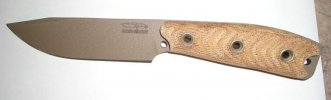 BusseSAR-5_FealOrFake.JPG