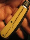 TA Davison #795 Sway-Back 015.jpg