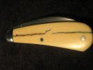 TA Davison #795 Sway-Back 004.jpg