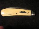 TA Davison #795 Sway-Back 001.jpg
