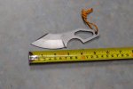 sharktooth1.jpg